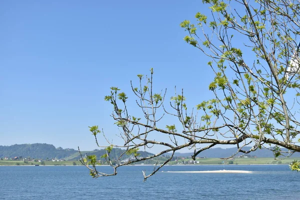 瑞士Sihlsee湖滨全景 2020年5月18日 — 图库照片