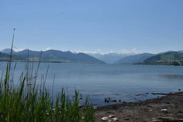 Seenpanorama Sihlsee Der Schweiz 2020 — Stockfoto