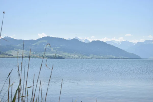 Πανόραμα Lakeside Στο Sihlsee Στην Ελβετία 2020 — Φωτογραφία Αρχείου