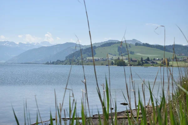 Panorama Nad Jeziorem Sihlsee Szwajcarii 2020 — Zdjęcie stockowe