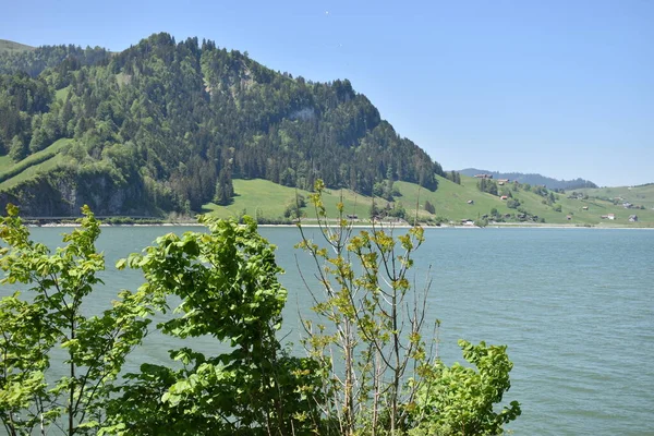 Lakeside Panorama Sihlsee Switzerland 2020 — стокове фото