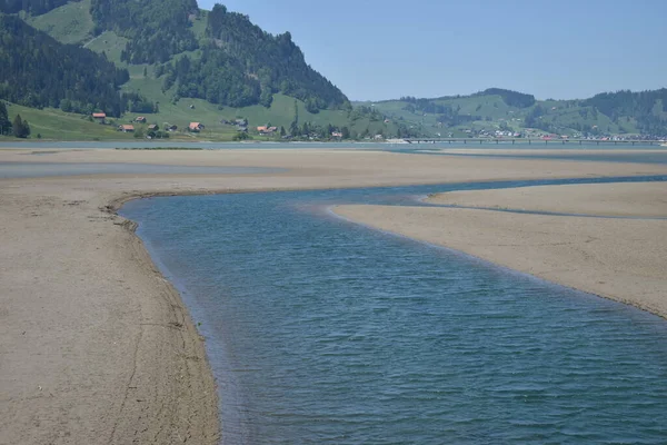 Small river built up in the low Sihlsee in Switzerland during a dry period 18.5.2020