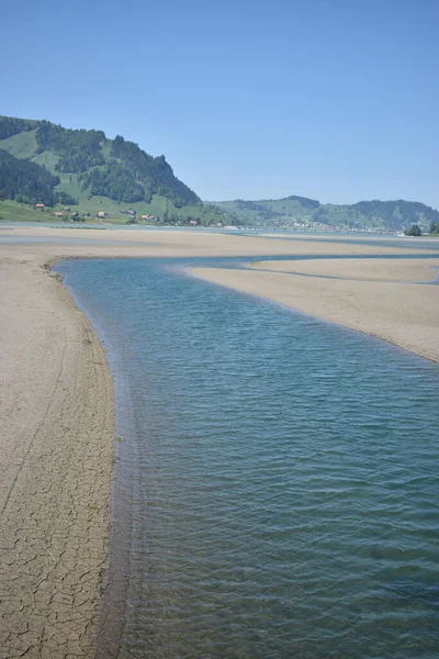 Mała Rzeka Zbudowana Niskim Sihlsee Szwajcarii Suchym Okresie 2020 — Zdjęcie stockowe