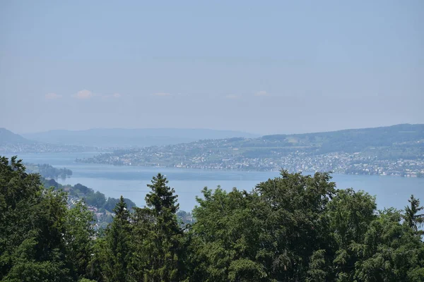 Kilátás Zürichi Tóra Svájcban 2020 — Stock Fotó