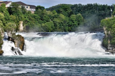 Kükreyen Ren İsviçre 'ye düşüyor. 20.5.2020