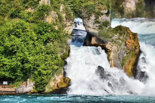 Rhen Faller Schweiz Våren 2020 — Stockfoto