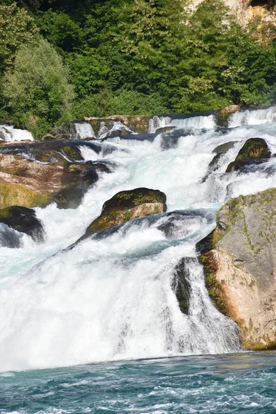 Rhine Falls Switzerland Springtime 2020 — Stock Photo, Image