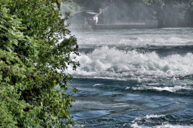 İsviçre 'de Ren Şelaleleri Avrupa' da 20.5.2020 'dir.