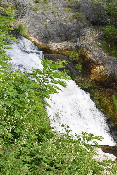 Krajina Rýna Padá Švýcarsku 2020 — Stock fotografie