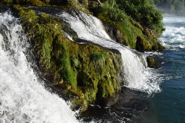 Cascate Del Reno Vicino Sciaffusa Svizzera 2020 — Foto Stock