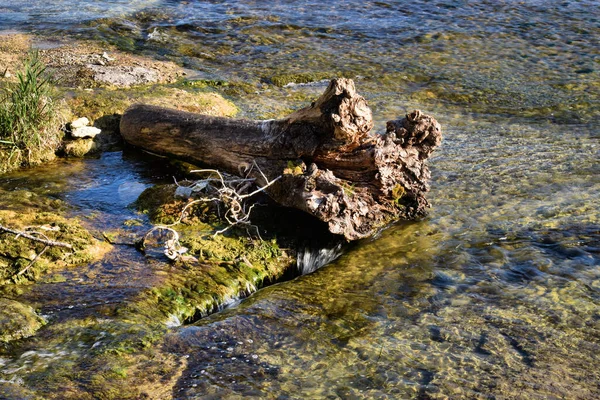 Ξύλο Παρασυρόμενο Στο Νερό Από Τις Πτώσεις Ρινόκερου Στην Ελβετία — Φωτογραφία Αρχείου