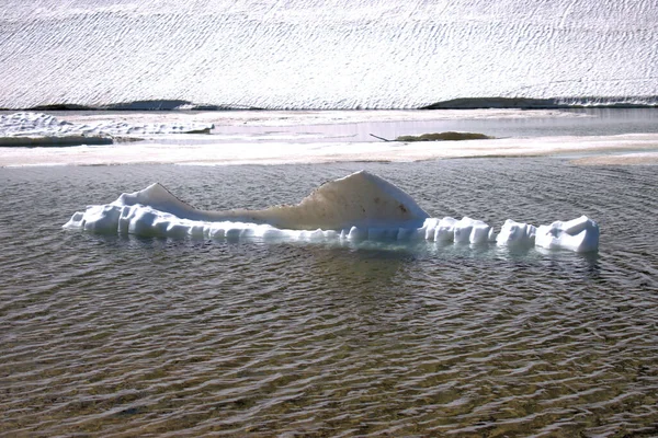 Льодовикові Шельфові Льодовики Дрейфують Озері Горі Оберальппасс Швейцарії 2020 — стокове фото