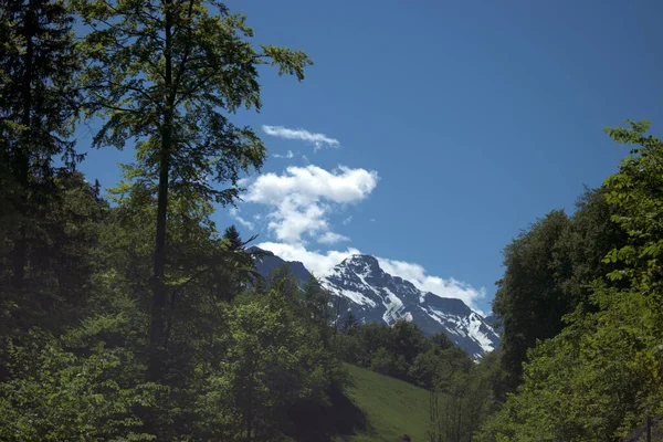 Fantastiska Bergstoppar När Kör Genom Schweiz 2020 — Stockfoto