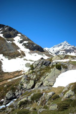 İsviçre 'de Fluelapass 27.5.2020
