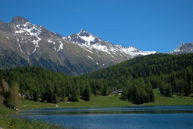 İsviçre 'deki Saint Moritz Gölü' nden muhteşem bir manzara. 27.5.2020