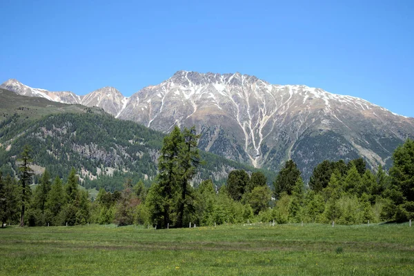 Sviçre Deki Engadine Deki Göksel Dağlık Arazi 2020 — Stok fotoğraf