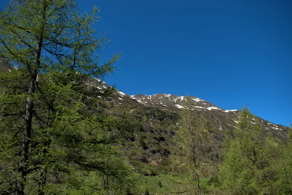 Landschaft Vom Fluelapass Der Schweiz 2020 — Stockfoto