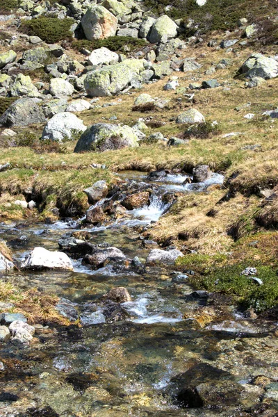 Pěkně Malý Alpský Vodopád Fluelapass Švýcarsku 2020 — Stock fotografie