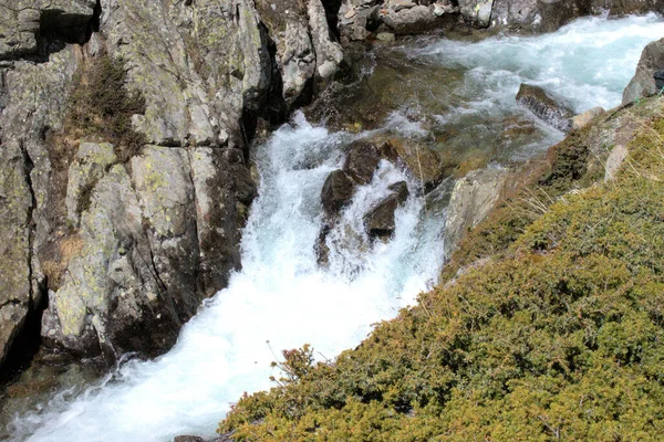 Cascada Alpina Bastante Pequeña Fluelapass Suiza 2020 —  Fotos de Stock