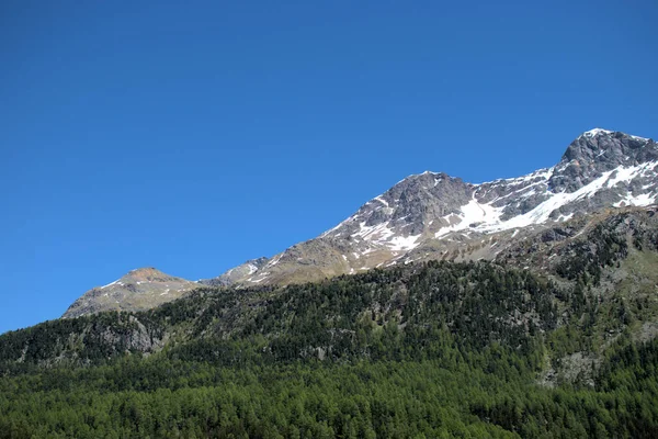 Picchi Montuosi Silvaplana Svizzera 52020 — Foto Stock