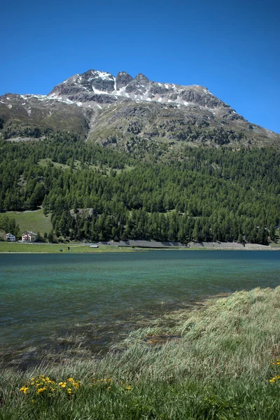 Lago Silvaplana Suiza 2020 — Foto de Stock