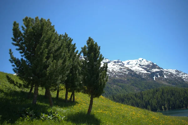 Paisagem Alpina Saint Moritz Suíça 2020 — Fotografia de Stock