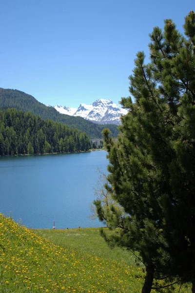 Lacul Saint Moritz Elveția 2020 — Fotografie, imagine de stoc