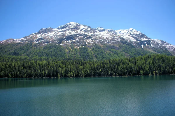Λίμνη Saint Moritz Στην Ελβετία 2020 — Φωτογραφία Αρχείου
