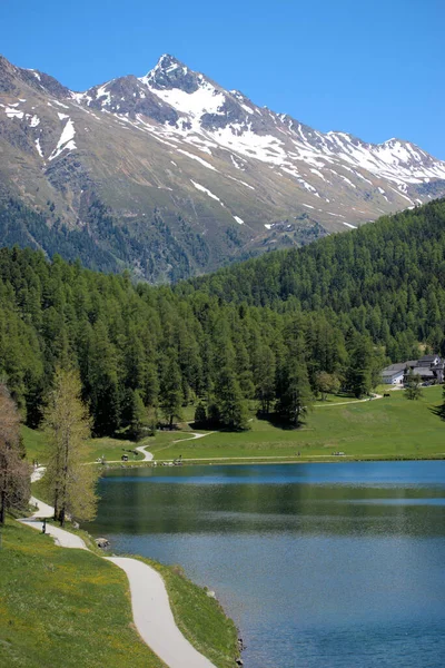 スイスのセント モリッツ湖27 2020 — ストック写真
