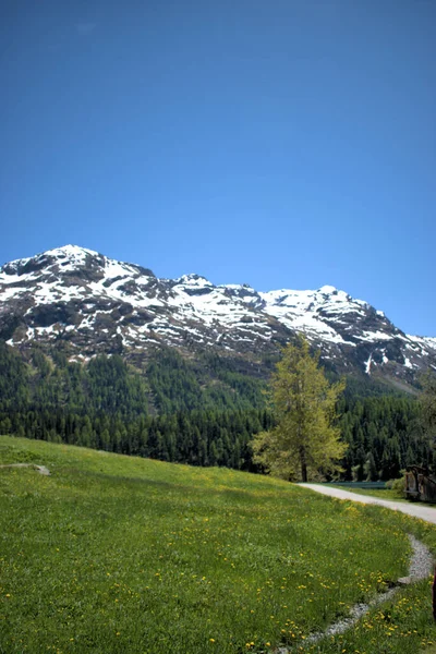 Saint Moritz Zwitserland 2020 — Stockfoto