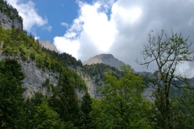 Walenstadtberg, İsviçre 'de güzel dağ manzarası 28.5.2020
