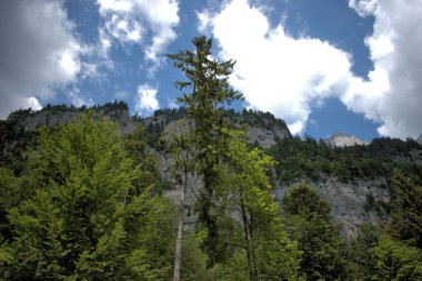 Walenstadtberg, İsviçre 'de güzel dağ manzarası 28.5.2020