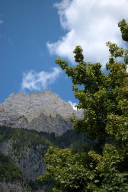 Walenstadtberg, İsviçre 'de güzel dağ manzarası 28.5.2020