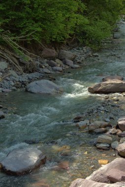 Appenzell, İsviçre 'deki inanılmaz dağ manzarası 1.6.2020