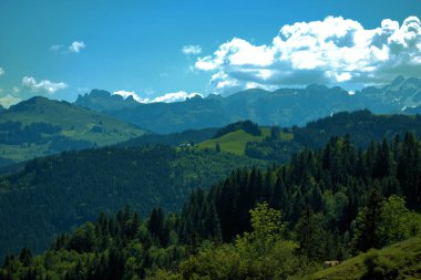 Appenzell 'deki dağ manzarası İsviçre 1.6.2020
