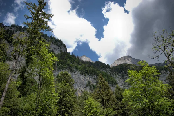 Walenstadtberg Švýcarsku Krásné Horské Panorama 2020 — Stock fotografie