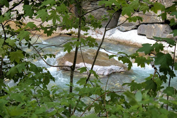 Small Alpine River Flows Weisstannental Switzerland 2020 — Stock Photo, Image