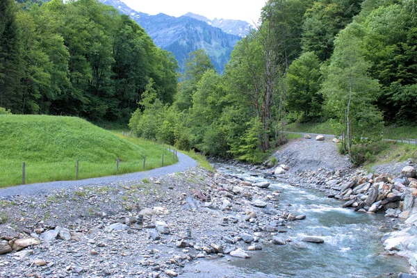 Paisaje Rural Weisstannental Suiza 2020 — Foto de Stock