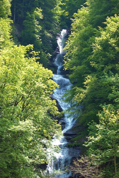 スイスの西部の滝28 2020 — ストック写真