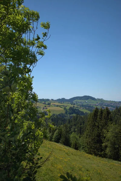 スイスのアッペンツェルの農村風景1 2020 — ストック写真