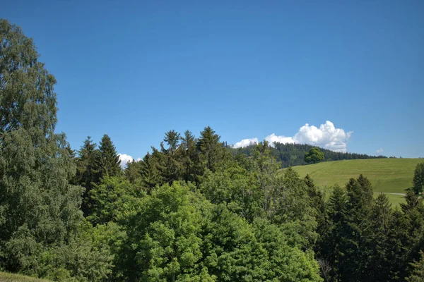 Krajobrazy Wiejskie Appenzell Szwajcarii 2020 — Zdjęcie stockowe