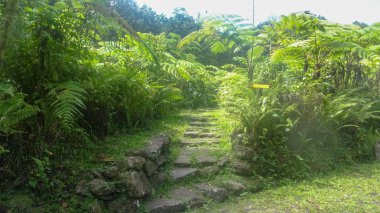 Guadeloupe: Atlantik Okyanusu ve Karayip Denizi