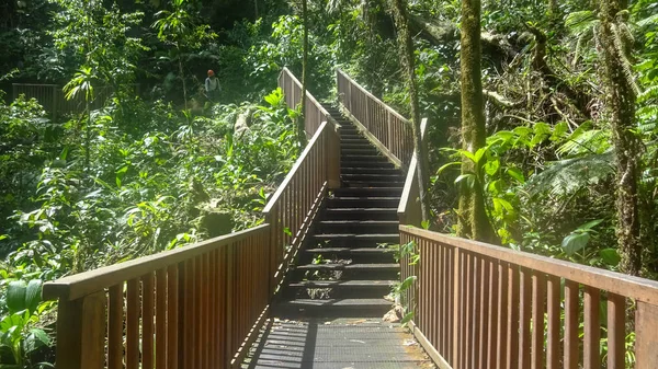 Guadalupe Océano Atlántico Mar Caribe — Foto de Stock