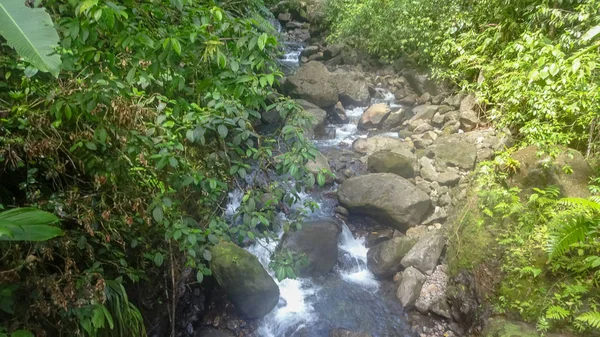 Guadalupe Océano Atlántico Mar Caribe — Foto de Stock