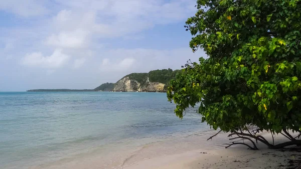 Guadeloupe Atlantik Okyanusu Karayip Denizi — Stok fotoğraf