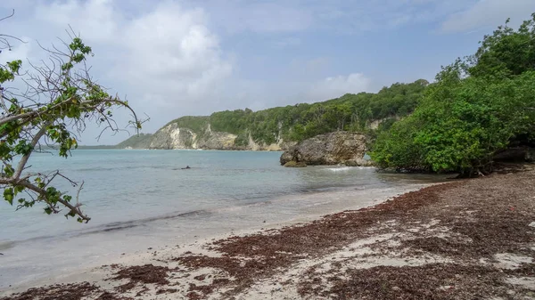 Guadalupa Nell Oceano Atlantico Nel Mar Dei Caraibi — Foto Stock