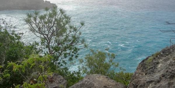 과들루프 대서양 카리브 해에서 — 스톡 사진