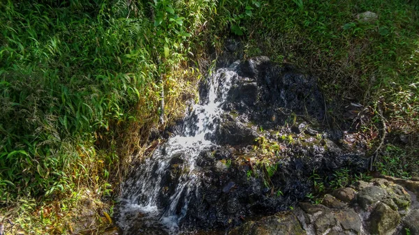 Guadeloupe Atlantik Und Der Karibik — Stockfoto