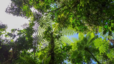 Guadeloupe: Atlantik Okyanusu ve Karayip Denizi