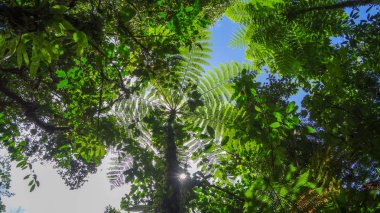 Guadeloupe: Atlantik Okyanusu ve Karayip Denizi